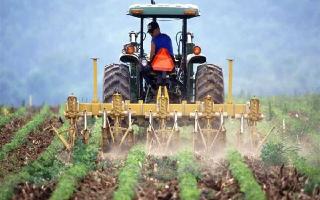 Pradhan Mantri Fasal Bima Yojana: Farmers Get Rs 1.25 Lakh Crore In Claims Till Oct 31